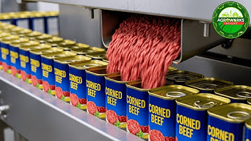 How Millions of Corned Beef Cans Are Produced – Inside the Hidden Food Factory