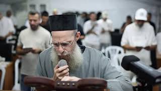 סליחות בשידור חי