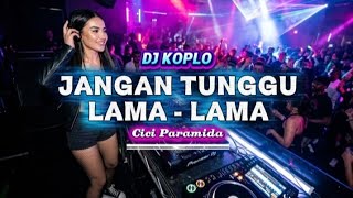 Dj Jangan Tunggu Lama Lama  Cici Paramida   Remix Dangdut Koplo Modern  Bass Pecah Parah