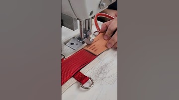 Experience quality #weaverarborist #arborist #tree #treework #treecare #positioningsaddle #arb