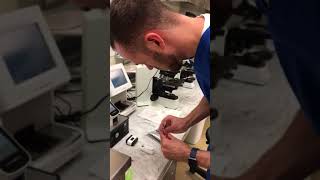Practical Skill #25 4dx Elisa SNAP test