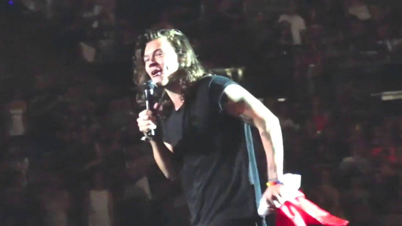 Harry Styels , poutine, mustache & Lirry