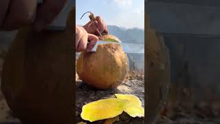 Sat5153Mini Rotary Tillage And Ridging All-In One Tree Short View