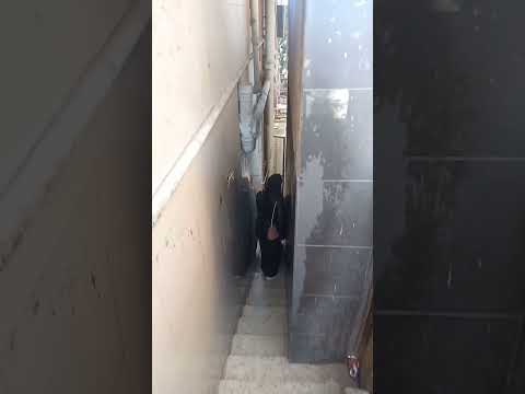 تريند المنصورة الجديد سلم علوم