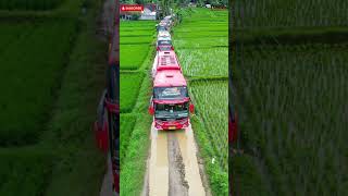 gara gara GPS ? Rombongan Bus Nyasar ke Jalan sawah yang sempit