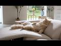 ModernMate Lookbook | Lodden Power Reclining Sofa Set with Zero Gravity &amp; USB-C