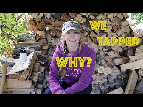 49 days... Why We Tapped. Alone Season 4