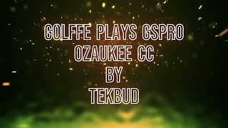 Golffe plays Ozaukee CC By TEKBUD with MevoPlus & GSPro software.