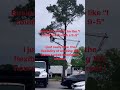 9-5? #treeservice #newportnews #contractor