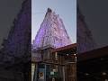 Sri Padmavathi Temple Tirupathi 🙏🙏 #tirupathi #tirumala #tiruchanur #govinda #Padmavathi #ttd#temple