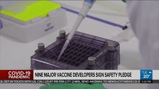 9 major drugmakers sign coronavirus vaccine safety pledge