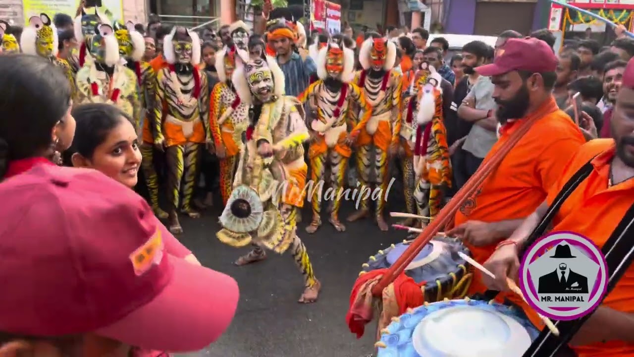 Tiger dance | Pili Nalike | tase da power | Udupi Sri Krishna Janmastami | Opposite Bhima Jewellers