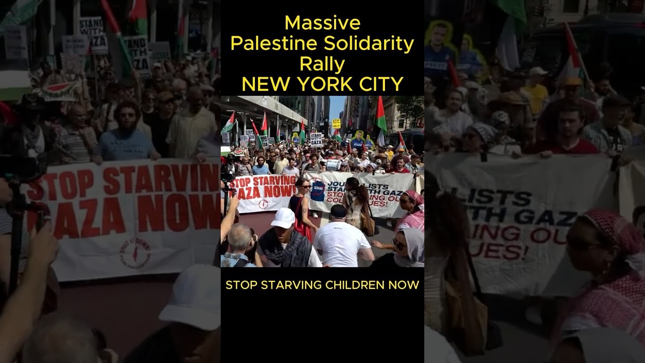 Palestine Solidarity Rally at New York City  