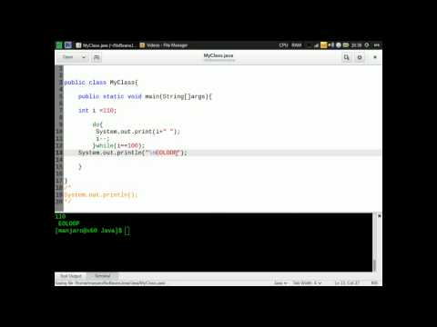 Java - Do While Loop - 8