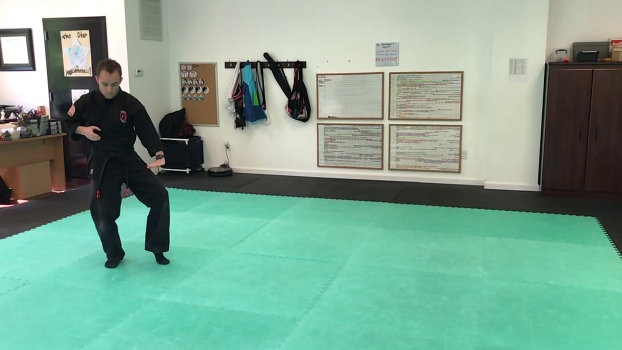 Single Wrist Grab 3 Strike the Wrist Shaolin Kempo Martial Arts