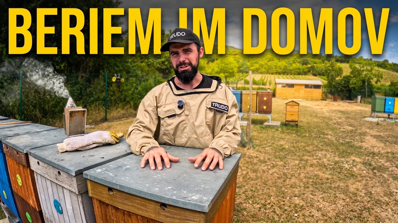 Včelám beriem polovicu domova. Má to svoj dôvod 🐝