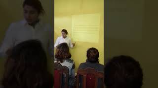 Capstone 1 lesson plan
