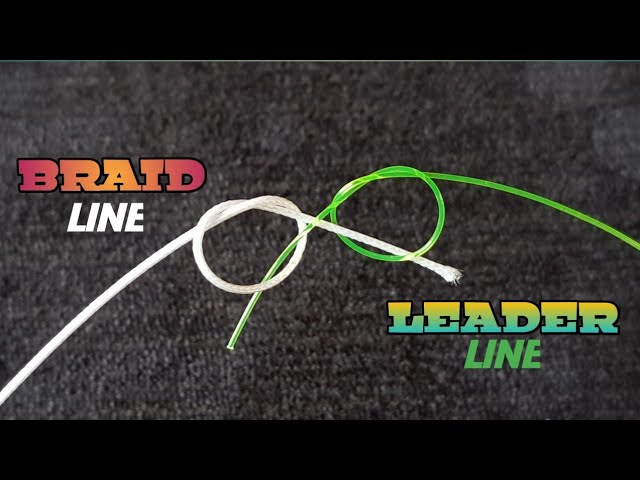 Best Braided Fishing Line in 2021 – Reviews From Fishing Expert