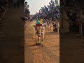 அர்னால்டு குரூப்ஸ் Jack Sparrow🔱🥳🥵😈#erthukattu #jallikattu #like #bull #comment #love #subscribe