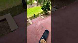 dog vs skateboard