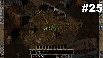 Let’s Play BG2 EE #25: The Old Gang