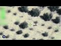 IDF FOOTAGE: Palestinian Islamic Jihad Fires Mortar at Israel
