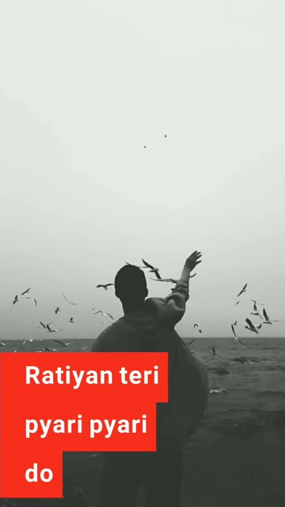 Teri pyari pyari do akhiyan whatsapp status || Teri pyari pyari do akhiyan status