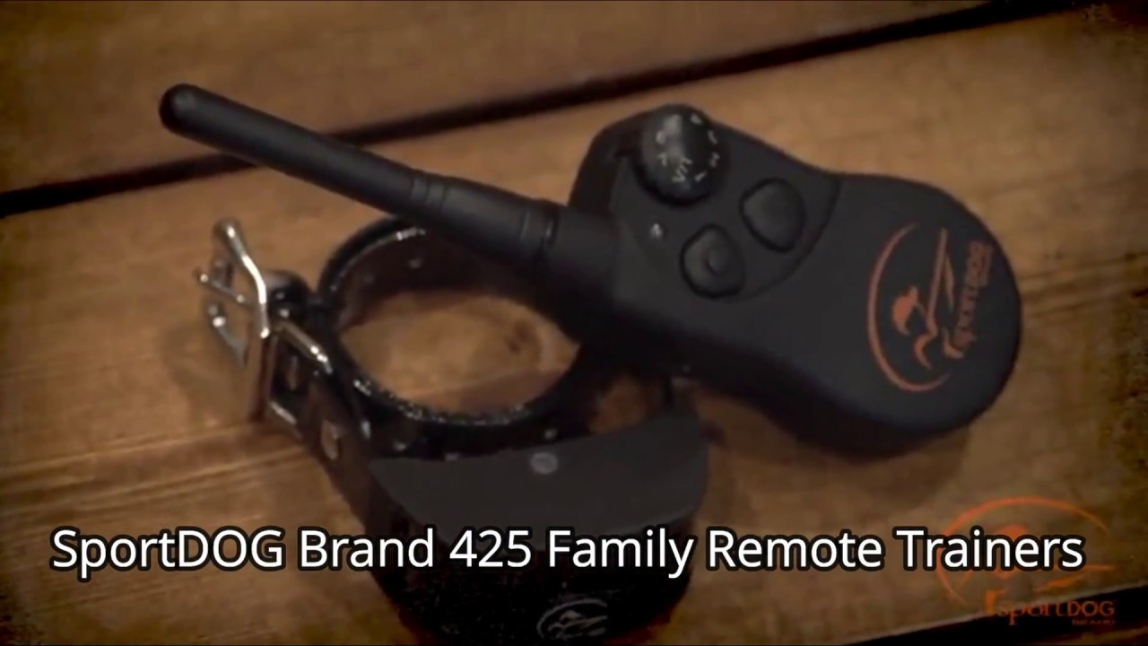 sportdog brand 425 family remote trainers