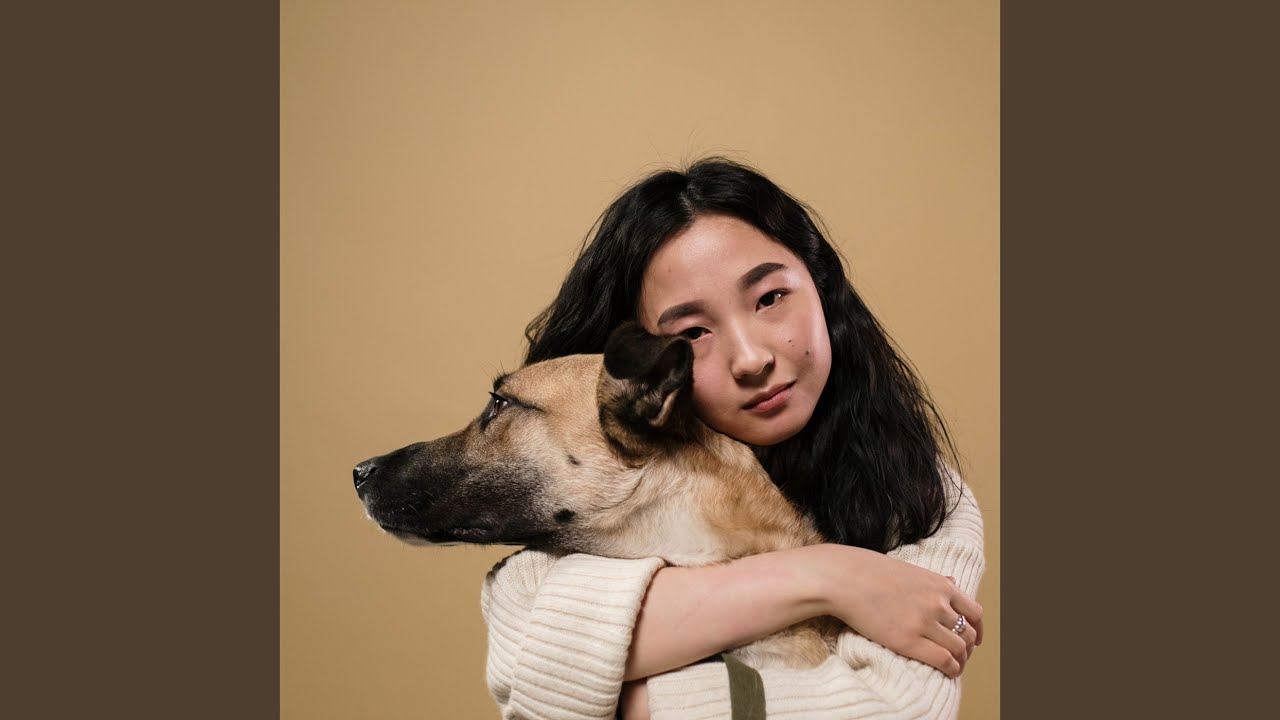 Fireside Pet Harmony