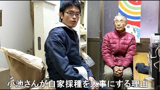 自然栽培米農家小池祐生さんが自家採種にこだわる理由とお米の変化とは！？