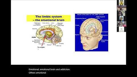 Vimukthi Webinar തൃശ്ശൂർ എക്‌സൈസ് ഡിവിഷന്റെയും ജില്ലാ പൊതു വിദ്യാഭ്യാസ വകുപ്പിന്റെയും നേതൃത്വത്തിൽ