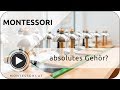 Montessori und das absolute Gehör [Österreichische Montessori-Akademie | Montessori-Ausbildung]