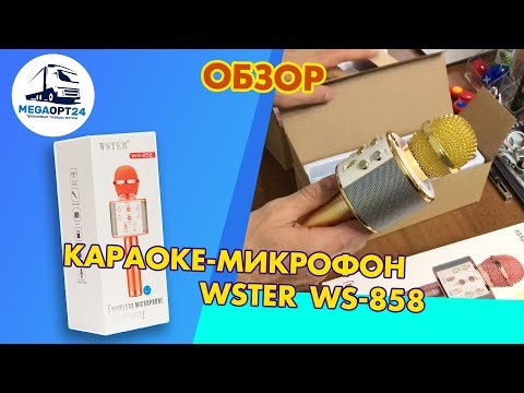 Караоке, Микрофон Wster Ws 858 | Обзор Функций , Поем Вместе