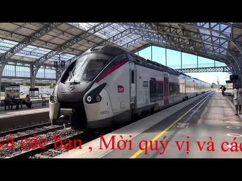 Video: Hầm rượu Champagne và Vườn nho ở Reims, Epernay và Troyes