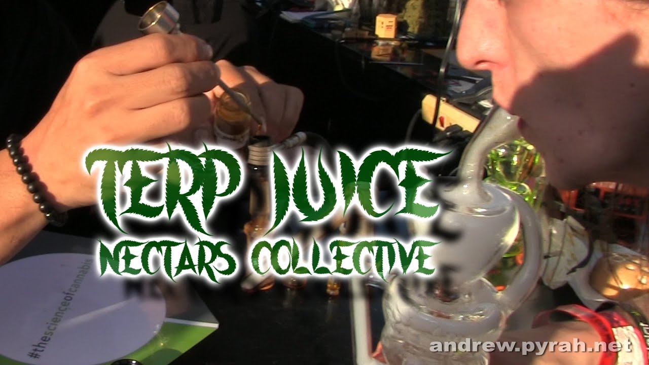 Nectars Collective TERP JUICE Review - Amsterdam Weed Review in California SoCal Cannabis Cup 2015