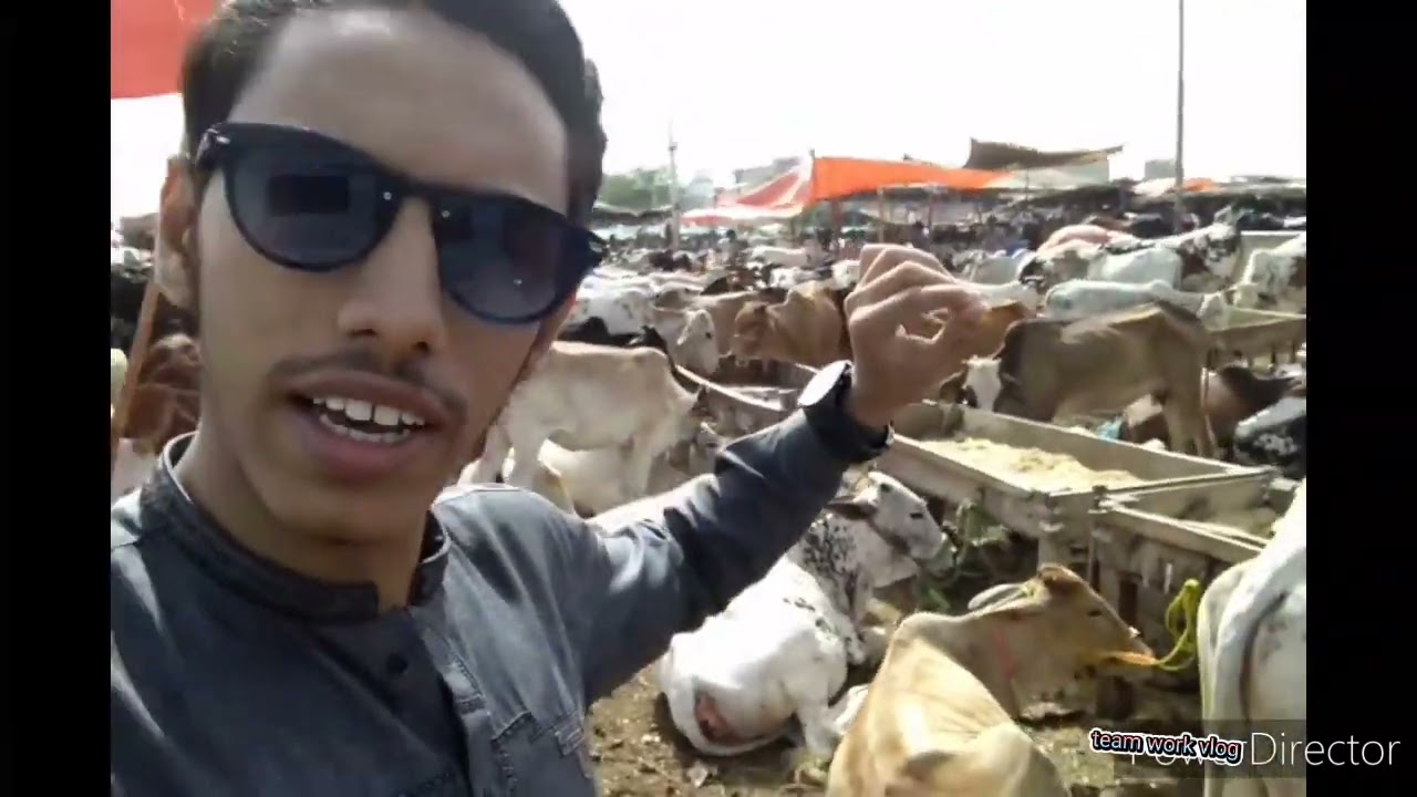 mandi..new..vlog..Muhammad.. mudasir Abdul..wasay Saad..Azam