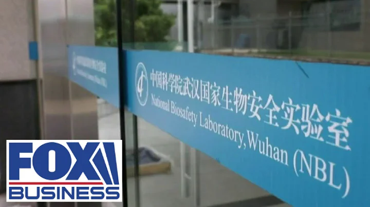 Wuhan lab's 'lethal' virus research buried in US databases for almost a year: rpt - DayDayNews