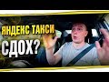 Не повторяйте мои ошибки. Есть ли жизнь после Яндекс такси? БТ#65