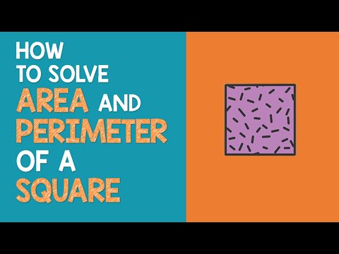 ⁣How to solve Area & Perimeter of a Square | Math Animation