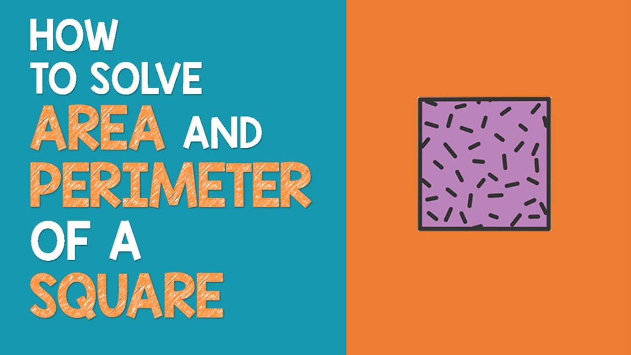 How to solve Area & Perimeter of a Square | Math Animation - YouTube
