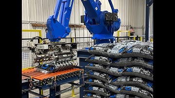 Fully Automated Mulch & Soil Bagging Line - Hopper, VF & HFFS, Robotic Palletizer & Stretch Wrapper