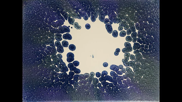 #284 pearl pour with white and metallic paint