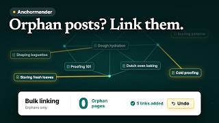 Anchormender – Internal Link Suggestions and Orphan Page Fixes for WordPress