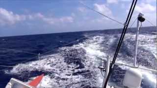 Vendee Globe Daily Report Jan 15, Day 67.