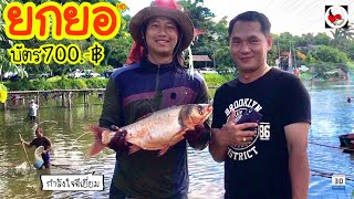 ยกยอ หนองเหมา ►Fishing lifestyle Ep.429