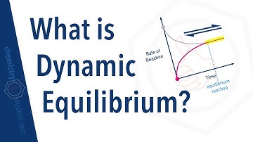 What is Dynamic Equilibrium?