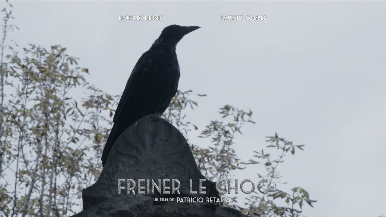 Freiner le choc - Court métrage