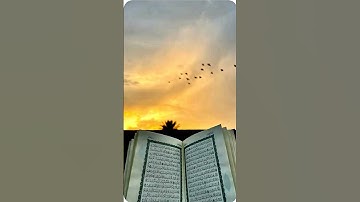 #egzonibrahimi #سورة_الإخلاص #ikhlas#quran#love #lifeisbutadream#beautiful #ihavethisthingwithplants