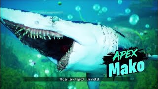 Adventures of Katy The Shark-Bae!