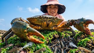 Little Zhang Discovers Fish That Spit Water—And Crabs And Lobsters Fill The Bucket To Overflowing!